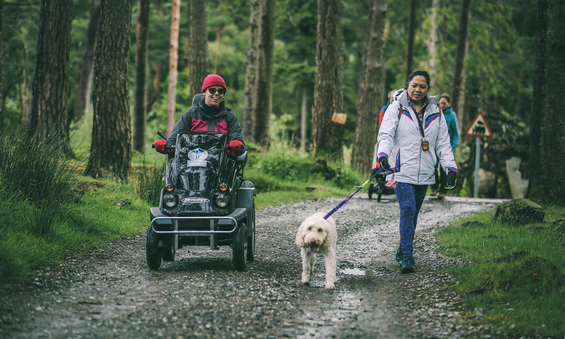 A woman rides a tramper along a woodland path