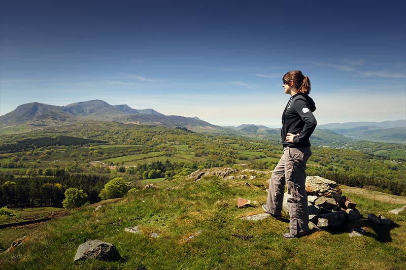 Foel Caerynwch Image