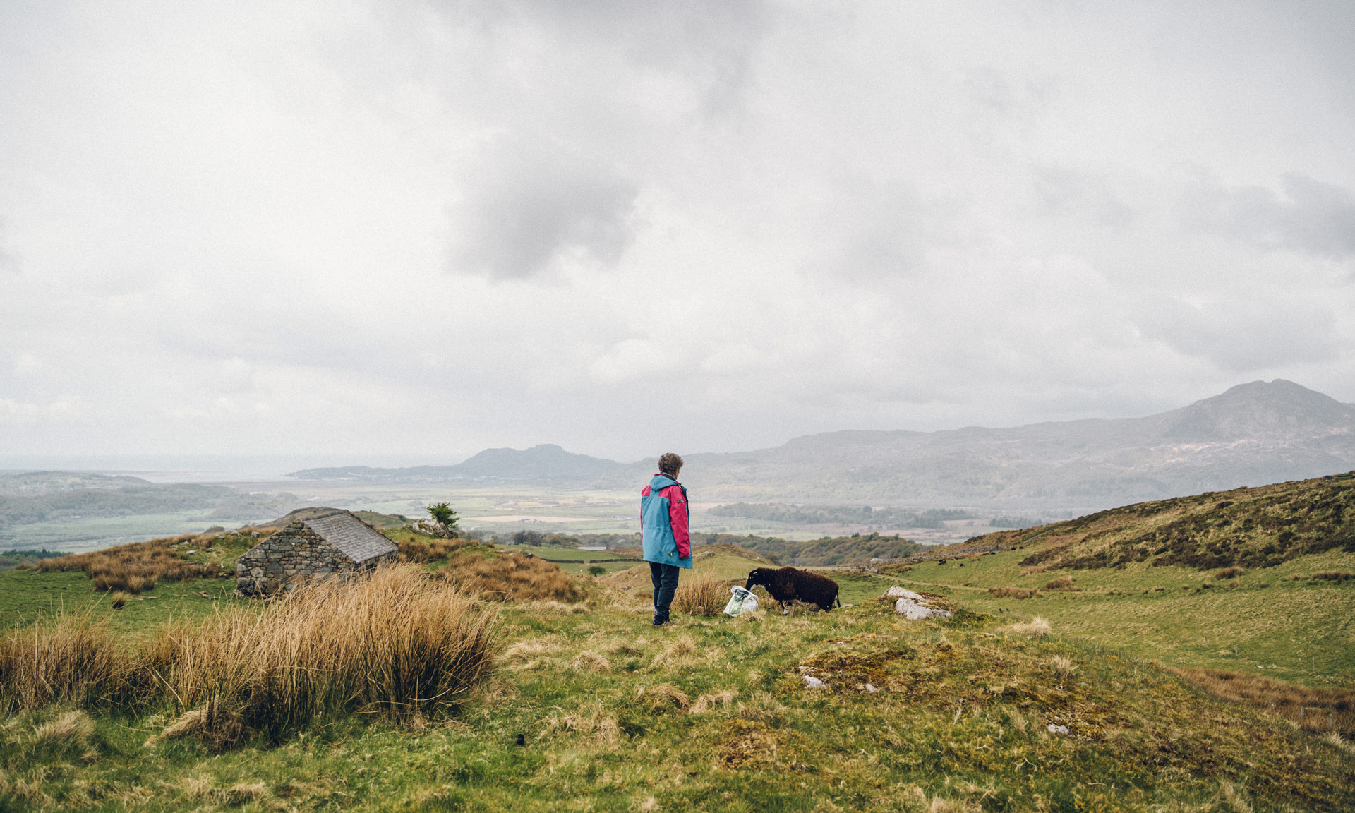 A farmer look sout to the fields wiyh a bnack sheep trying to prise ome food out of the bag