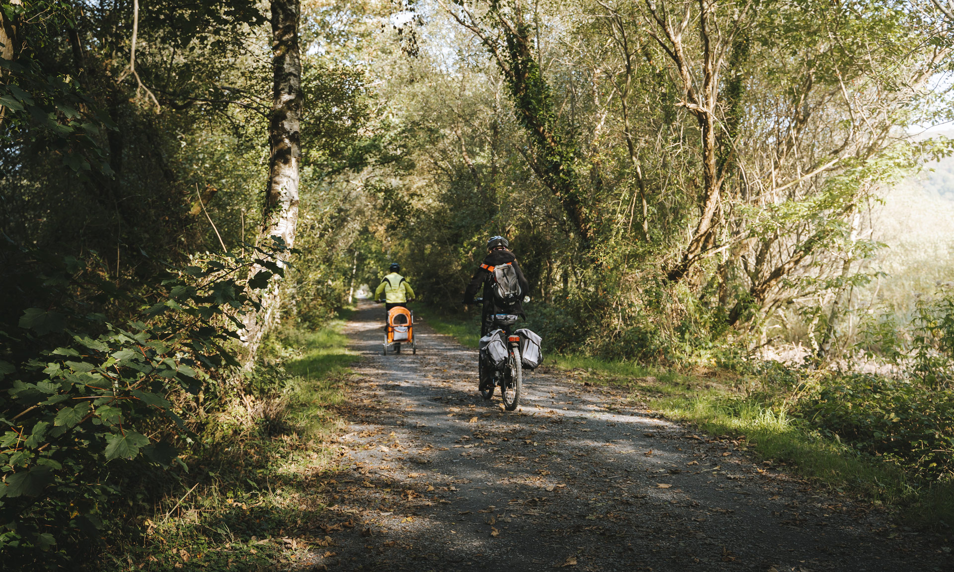 Cyclists on the Mawddach trail