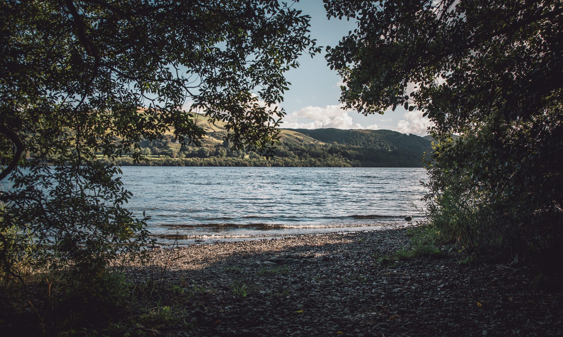 A view of Llyn Tegid through the trees