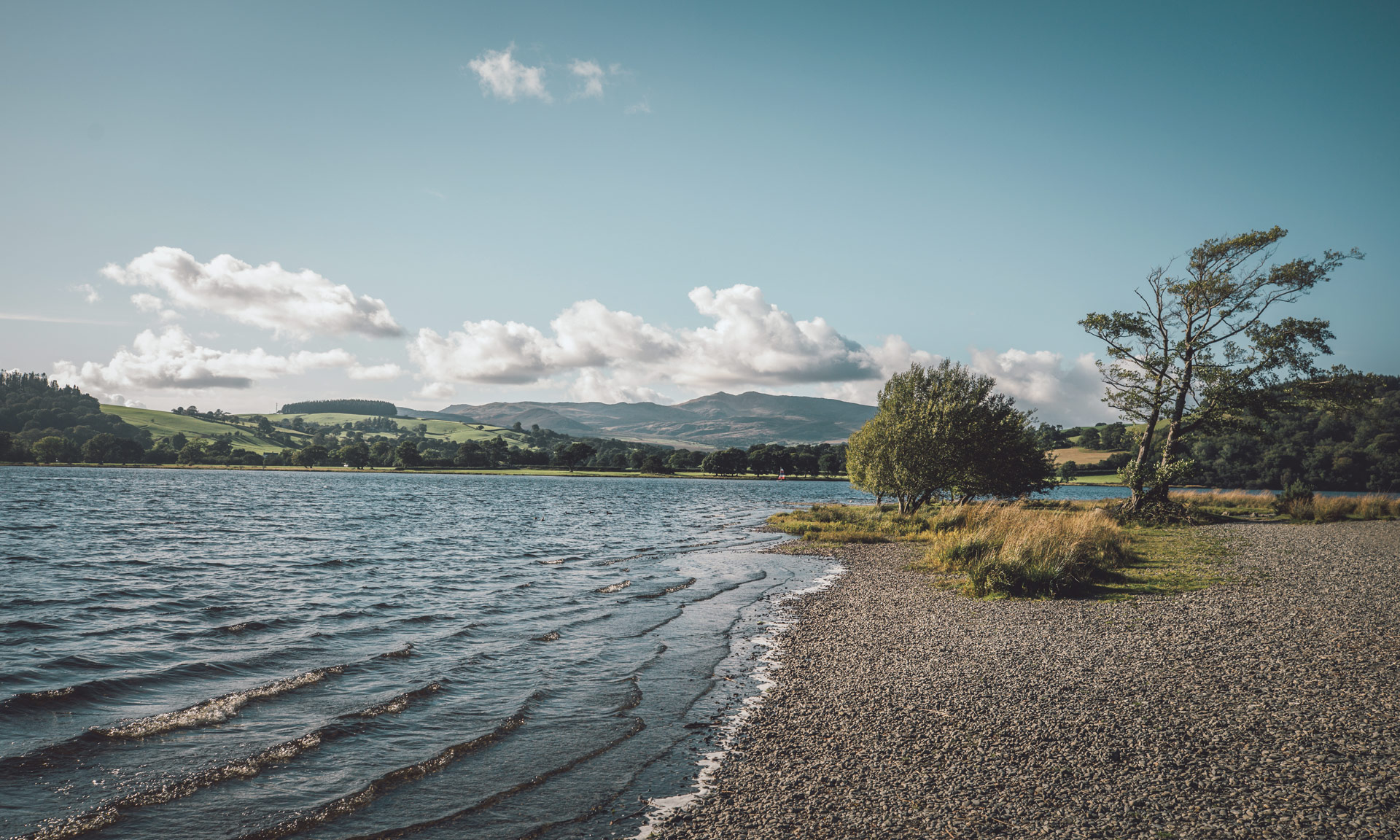 The shores of Llyn Tegid