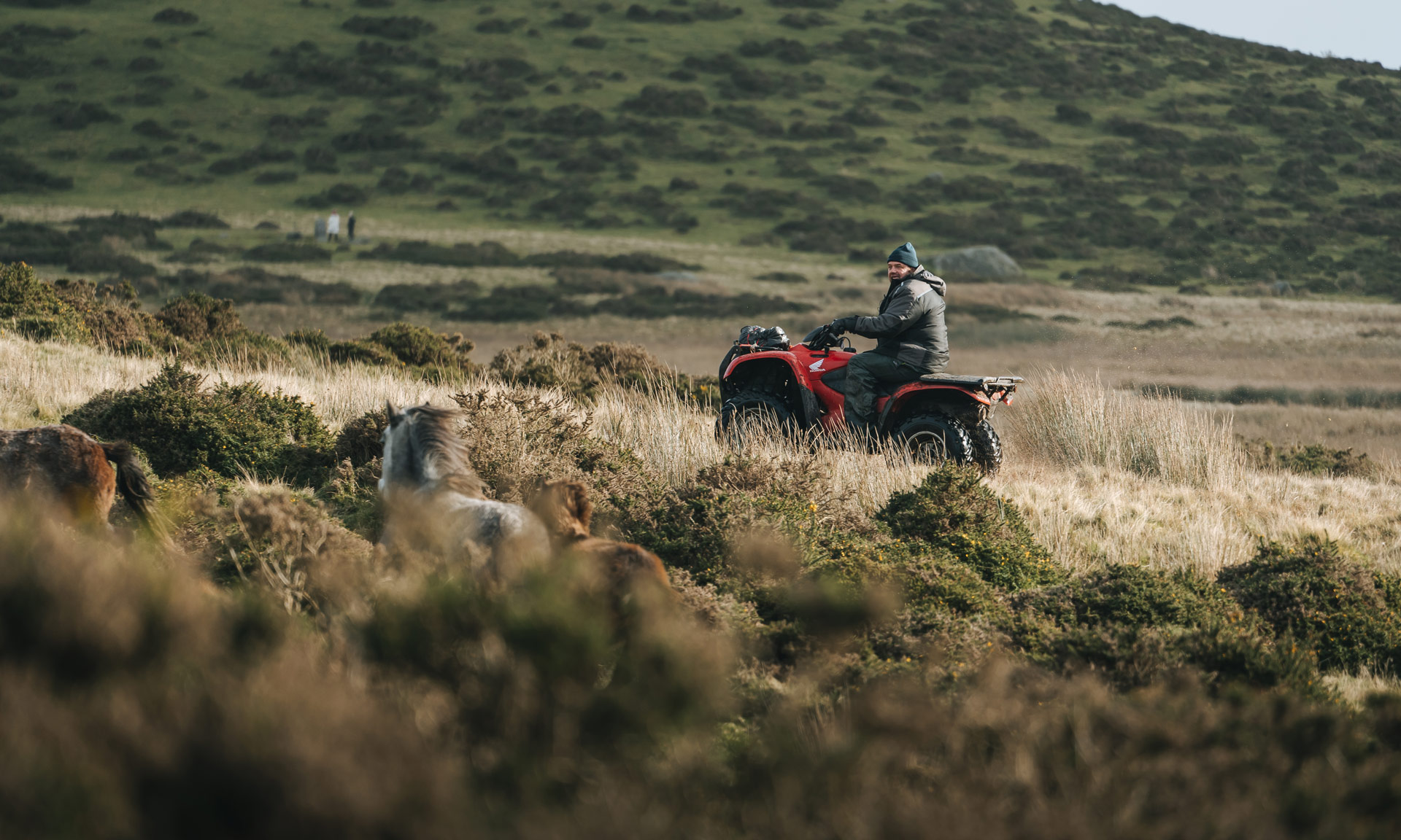 Quad bike used for wild pony gathering at Carneddau