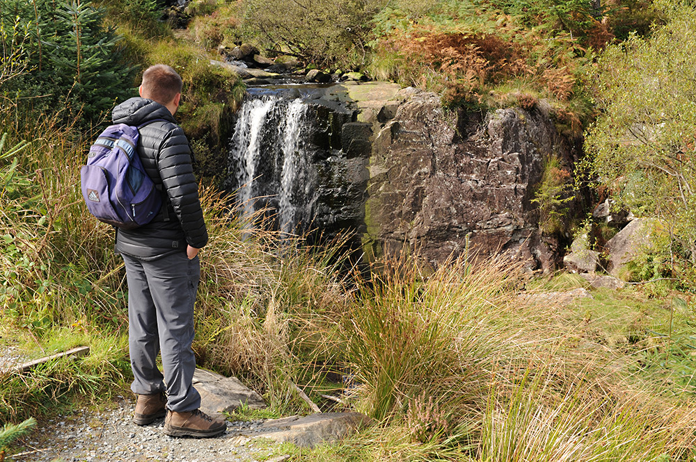 Graigddu Woods Image