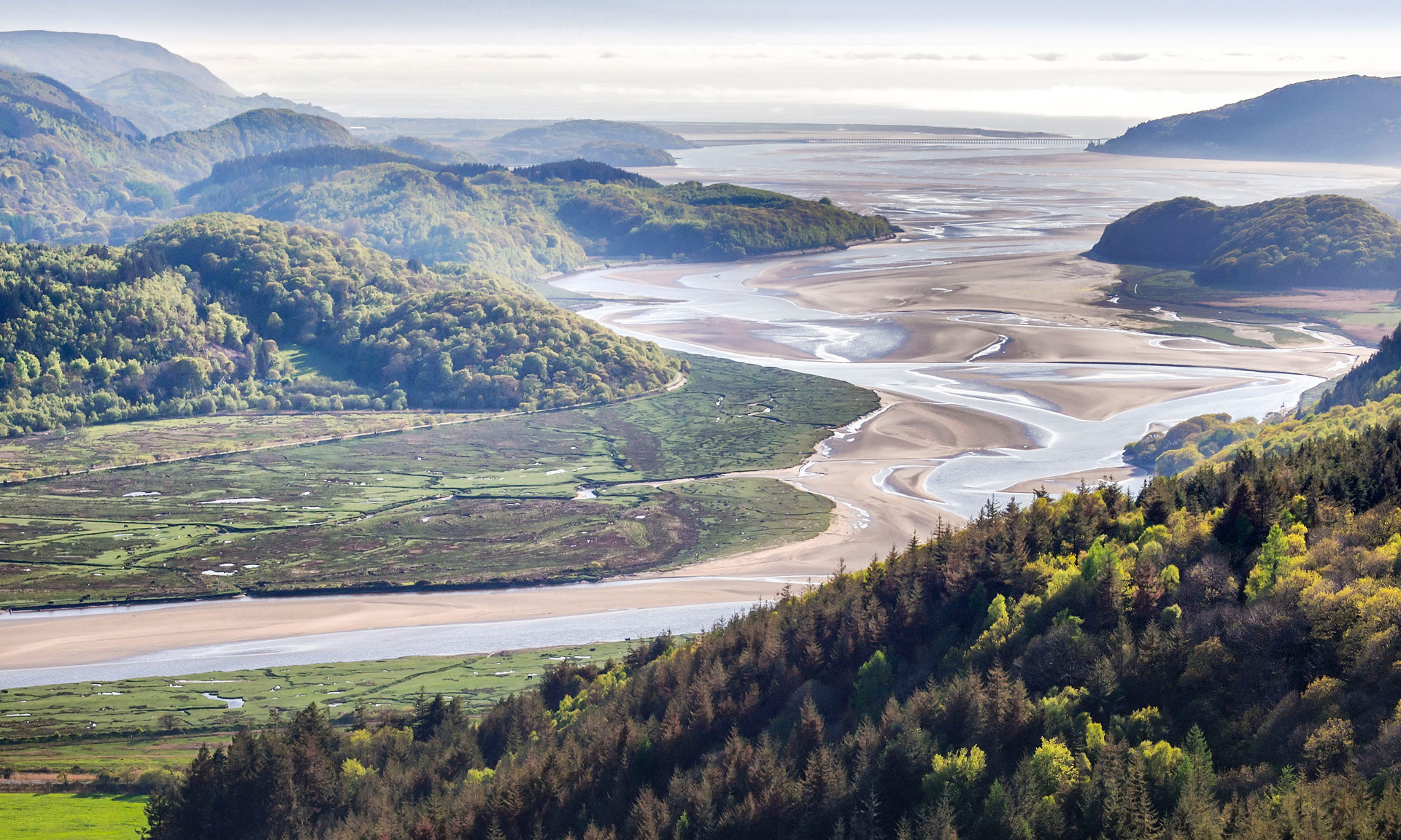 Foel Ispri Path Image