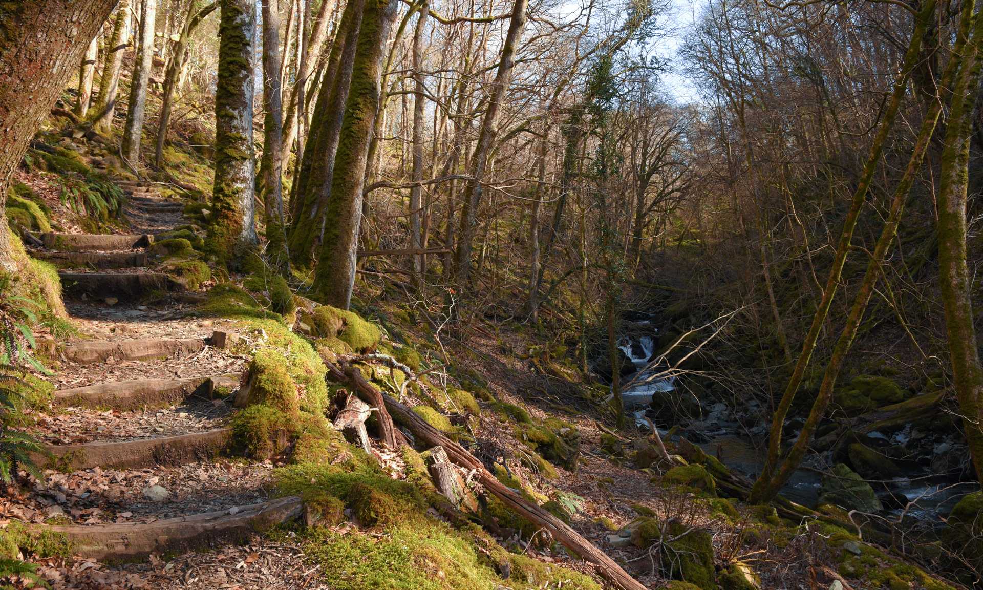 Torrent Walk