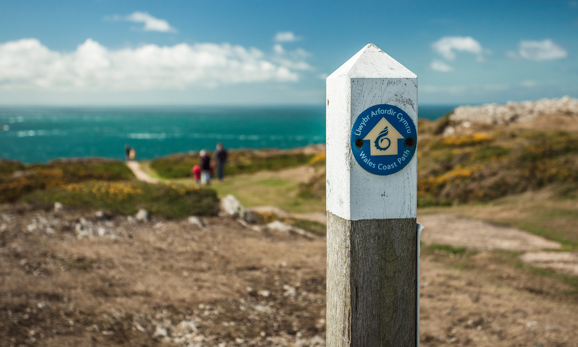 Wales Coastal Path signpost with an arrow pointing ahead. You can see the sea blurry in the background