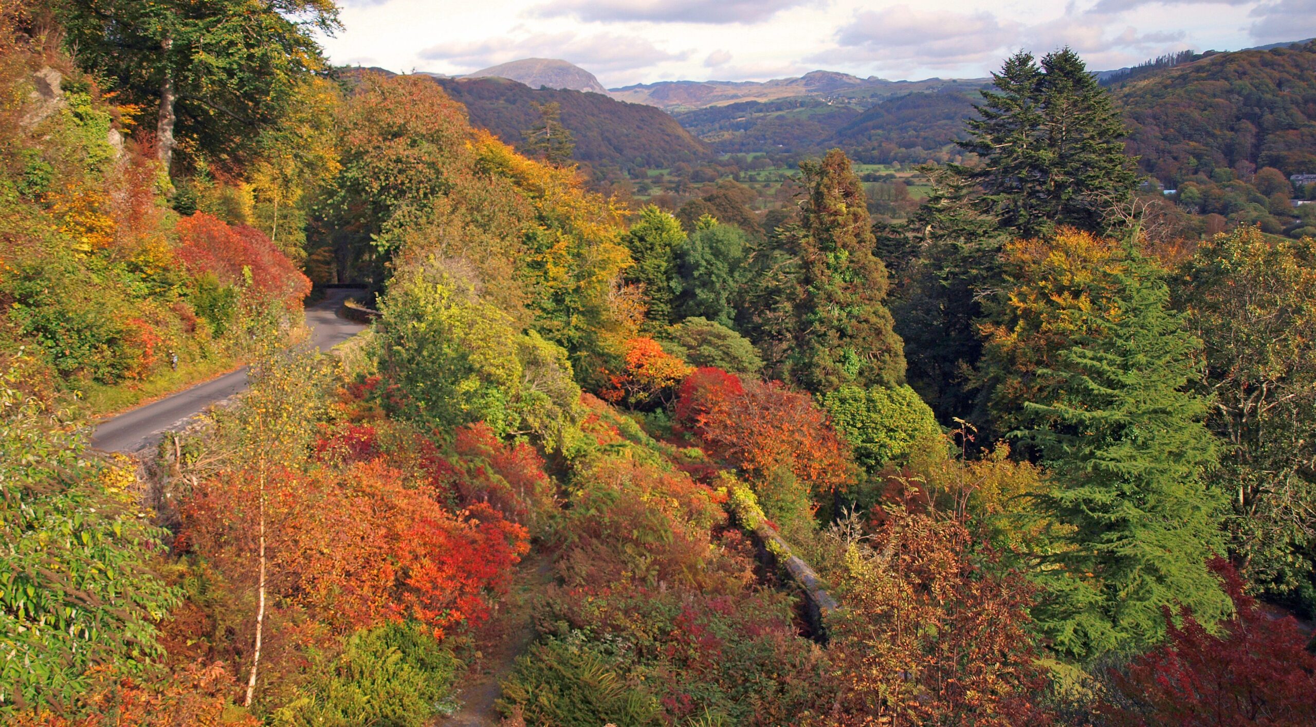 Update regarding the future of Plas Tan y Bwlch