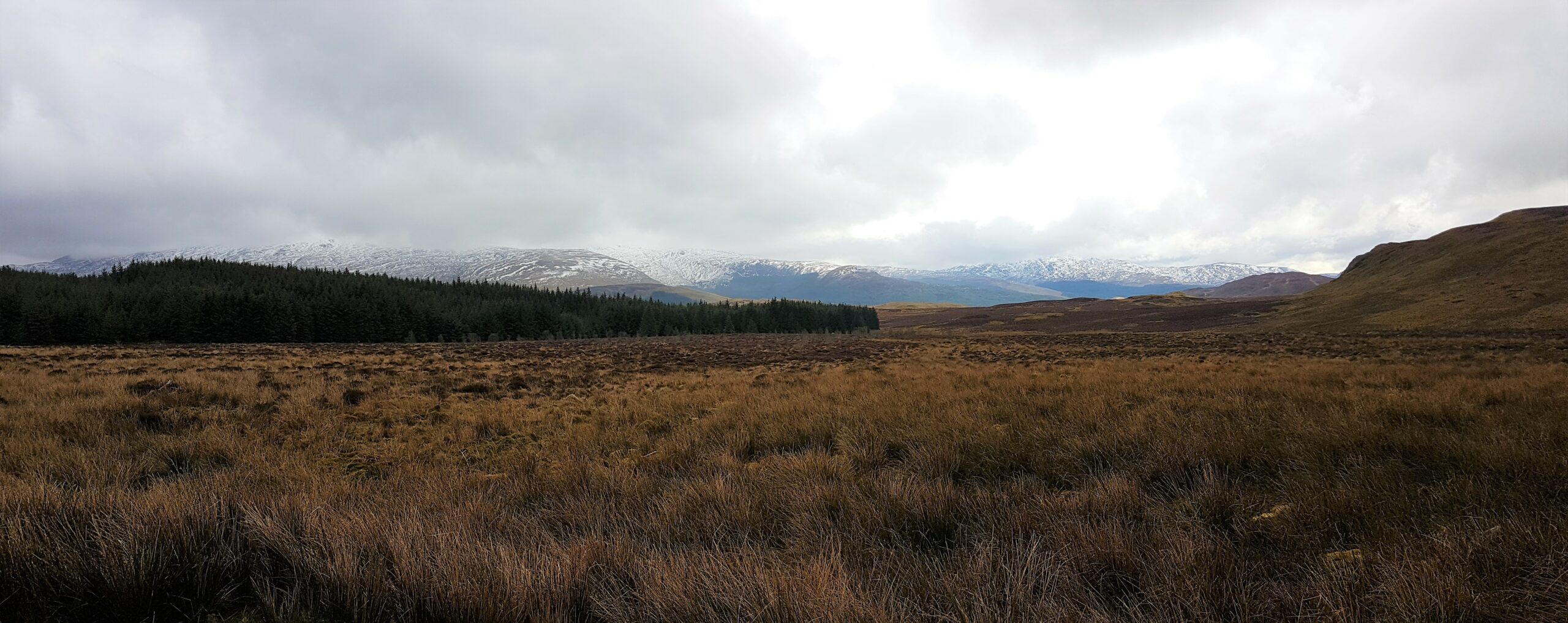 Peatlands at Penaran