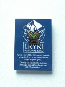 Enamel Pin Badge