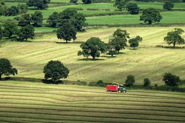 Trees Outside Woods – A new collaborative project between the National Park Authority and Coed Cadw, the Woodland Trust in Wales.