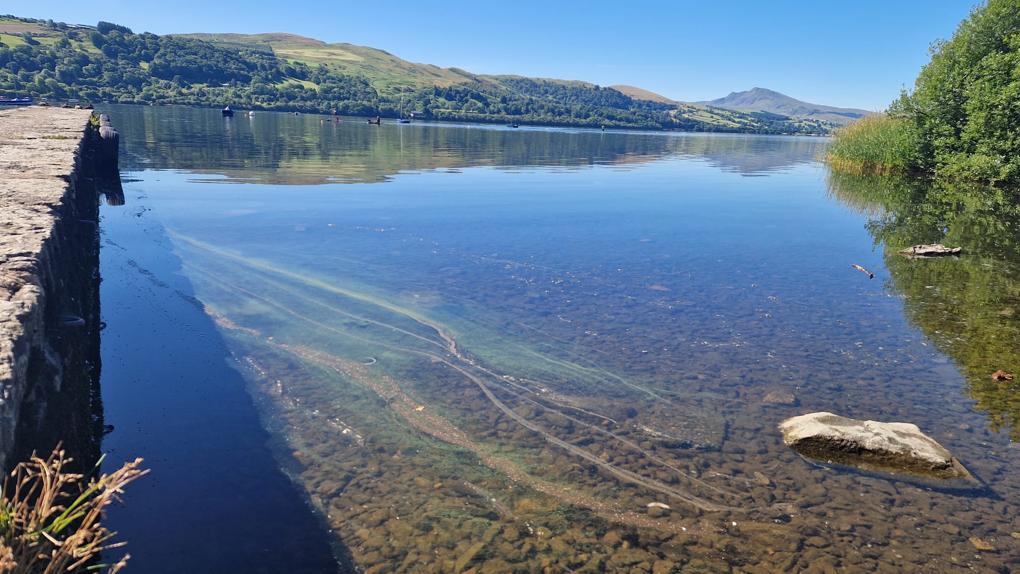 Algal blooms are normally seen on the shoreline.