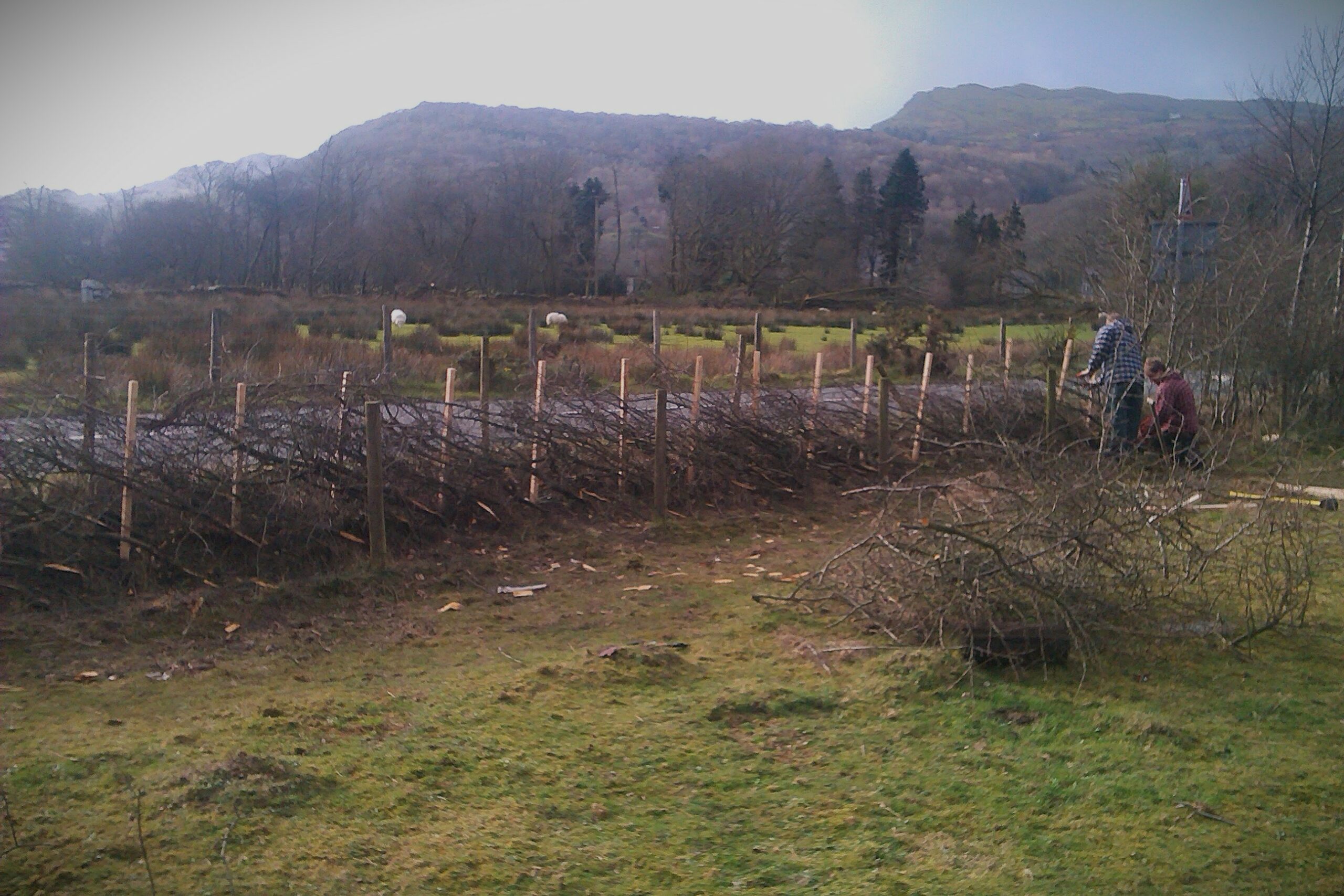 Grant funding to restore Snowdonia’s traditional field boundaries