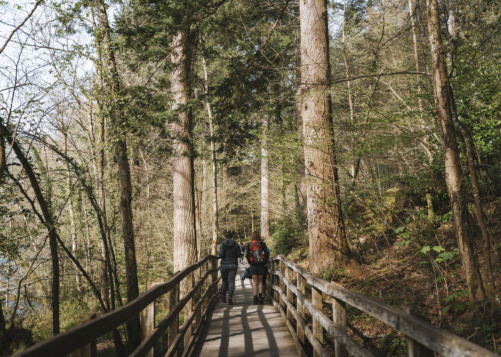 Betws-y-coed Bridges