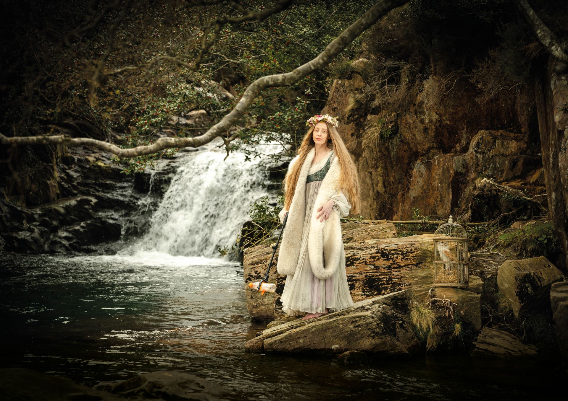 Blodeuwedd poses on a boulder by the side of a stream.