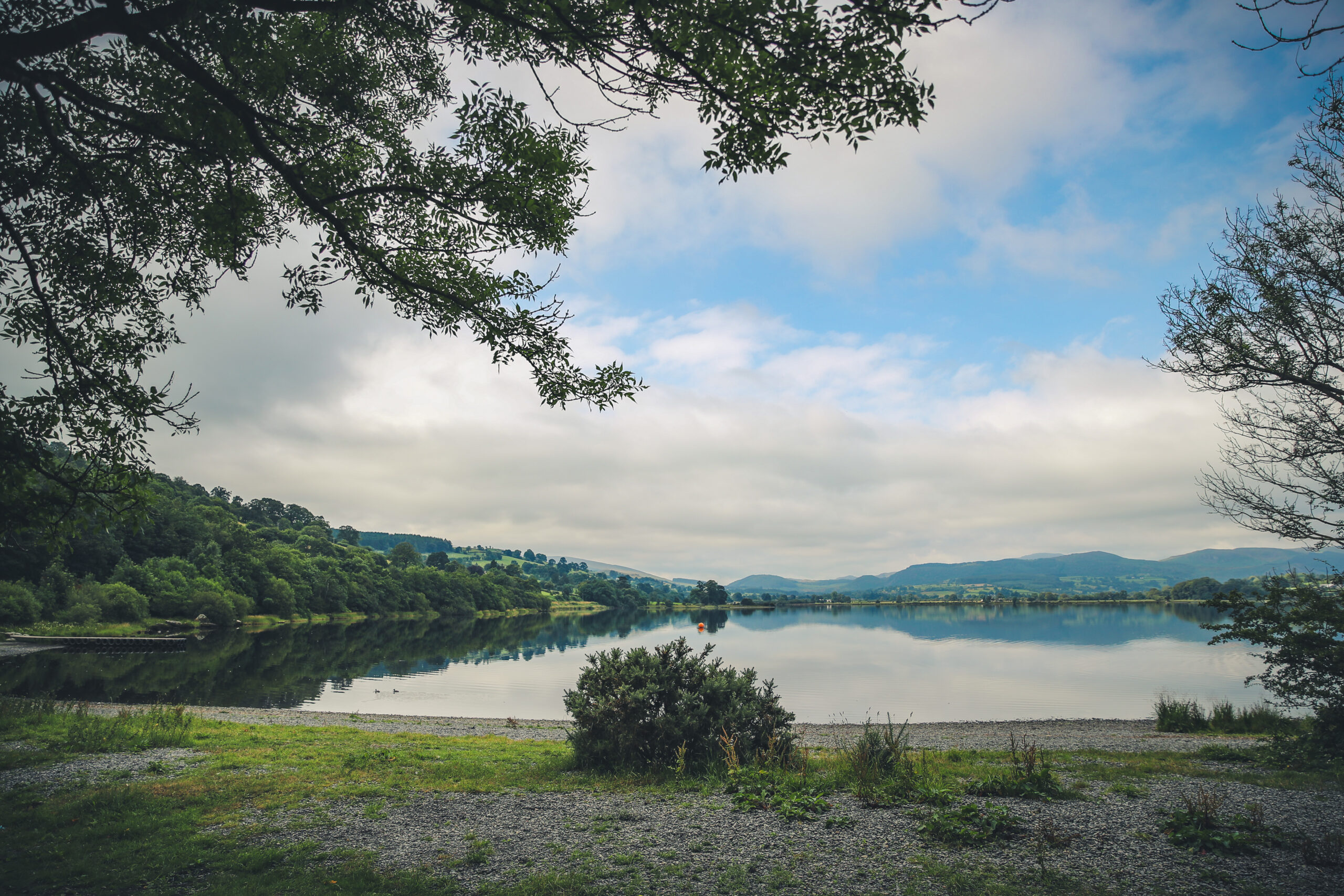 Conservation work aimed at halting the release of phosphates into Llyn Tegid underway, thanks to support by BMW’s ‘Recharge in Nature’ project.