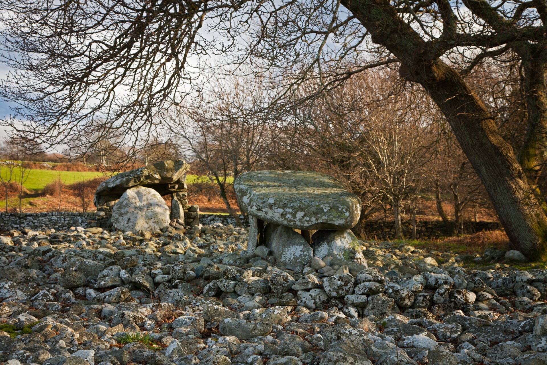 Discover Ardudwy