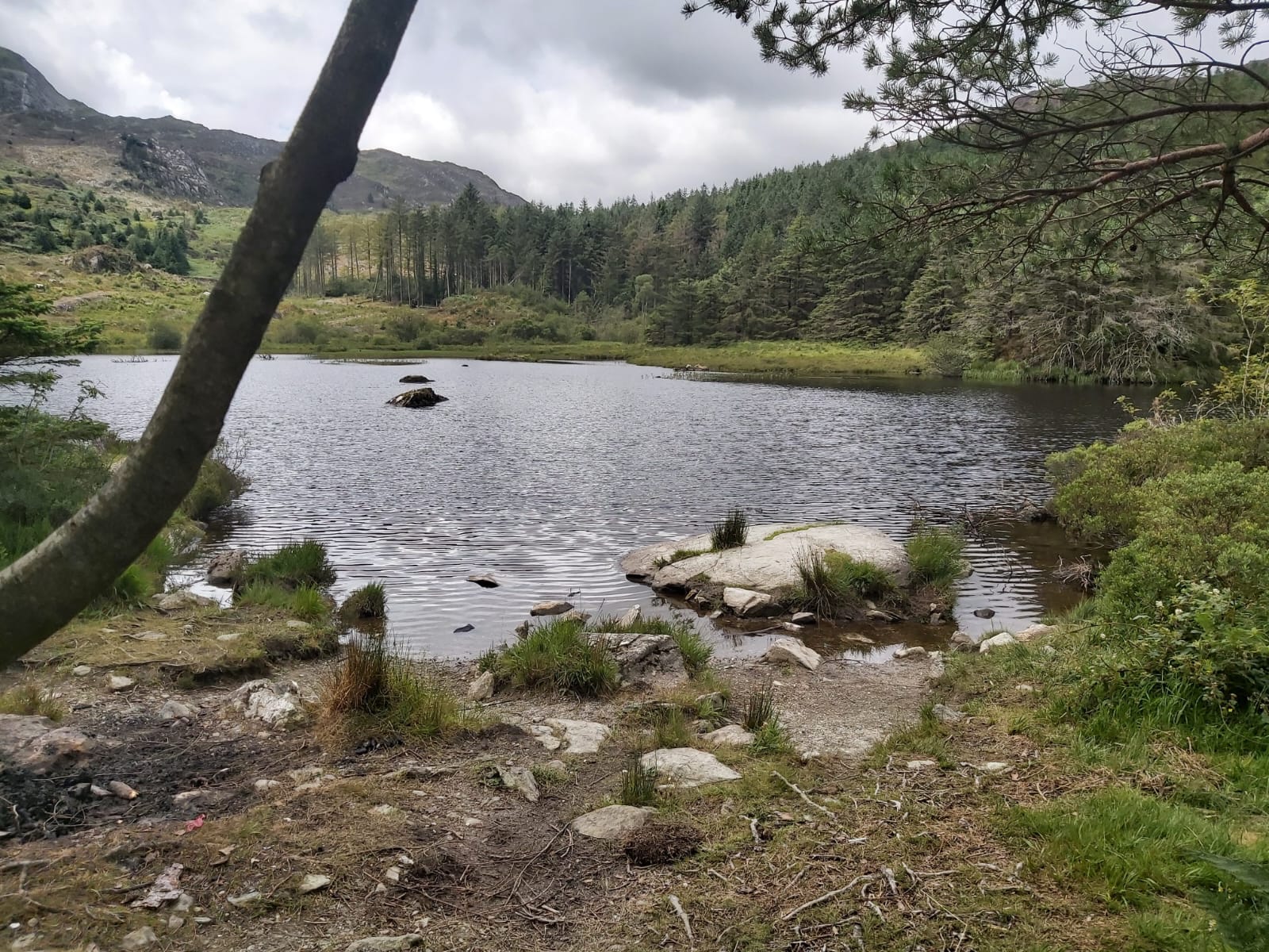 A cloudy view of Llyn Llywelyn in Beddgelert, Wales, with calm, reflective waters surrounded by rugged hills and dense greenery. The low, grey clouds hang over the lake, casting a soft, muted light over the tranquil landscape.