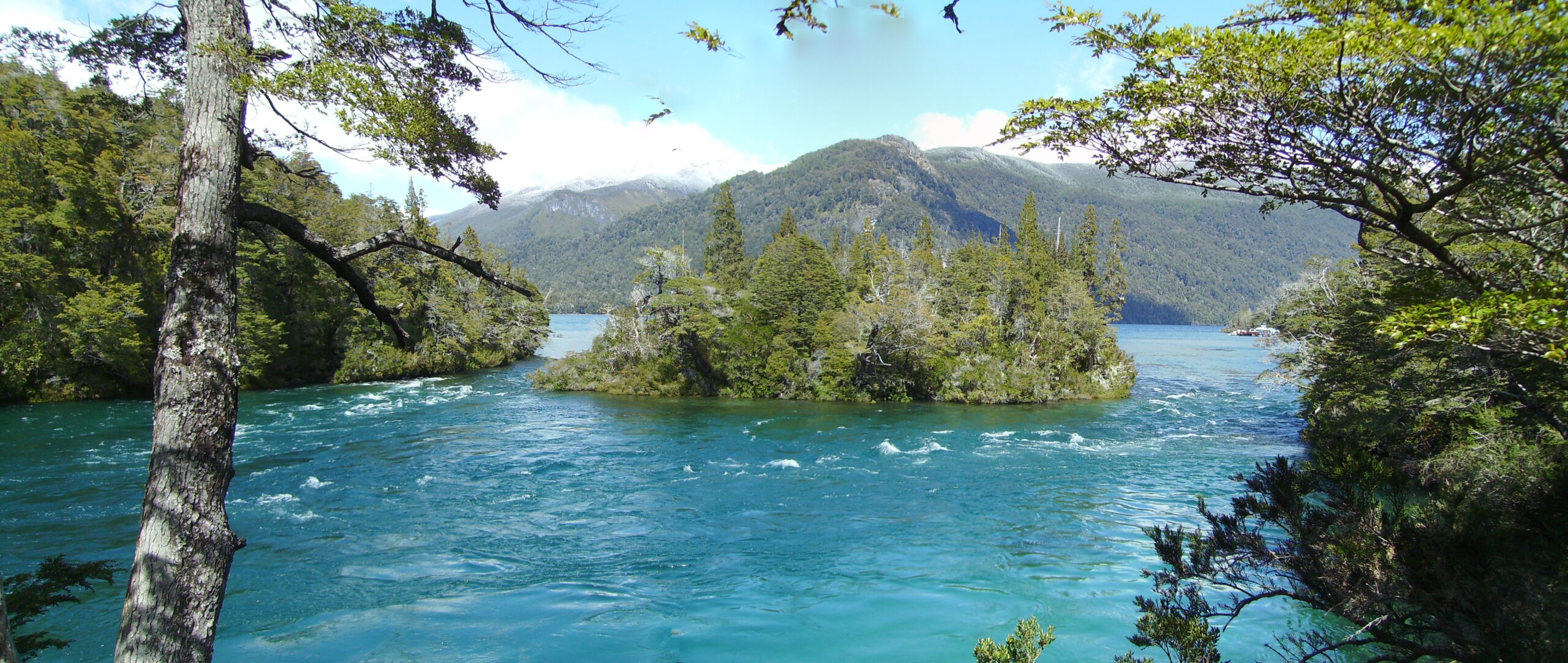 Eryri National Park Authority Considers New Twinning Agreement with Los Alerces National Park