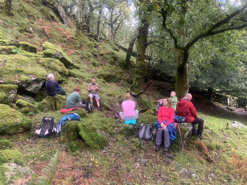 Mindfulness Walk - Eryri, Coed Dolfriog