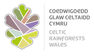 Logo Coedwigoedd Glaw Celtaidd Cymru