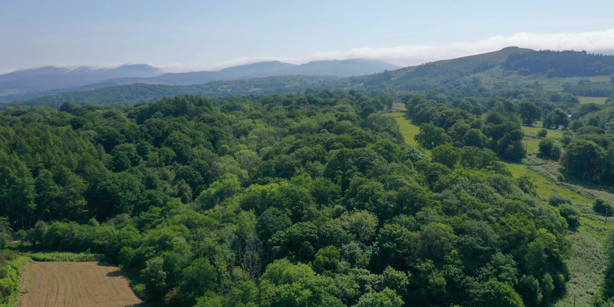 National Park Authority announces COPA2, the second youth climate conference in Eryri