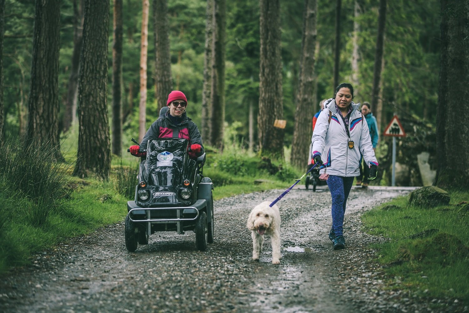 Tramper on Lon Gwyrfai with a lady walking a white dog