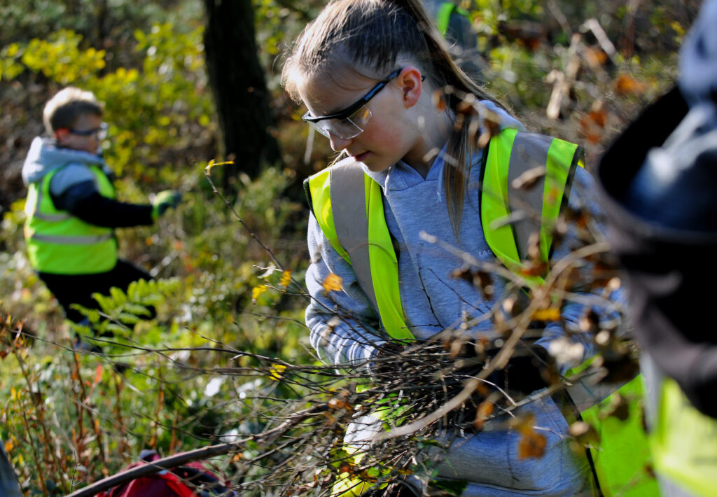 Branching out: Vodafone and National Parks announce ‘ultimate handheld device’ to help families enjoy more green time this summer