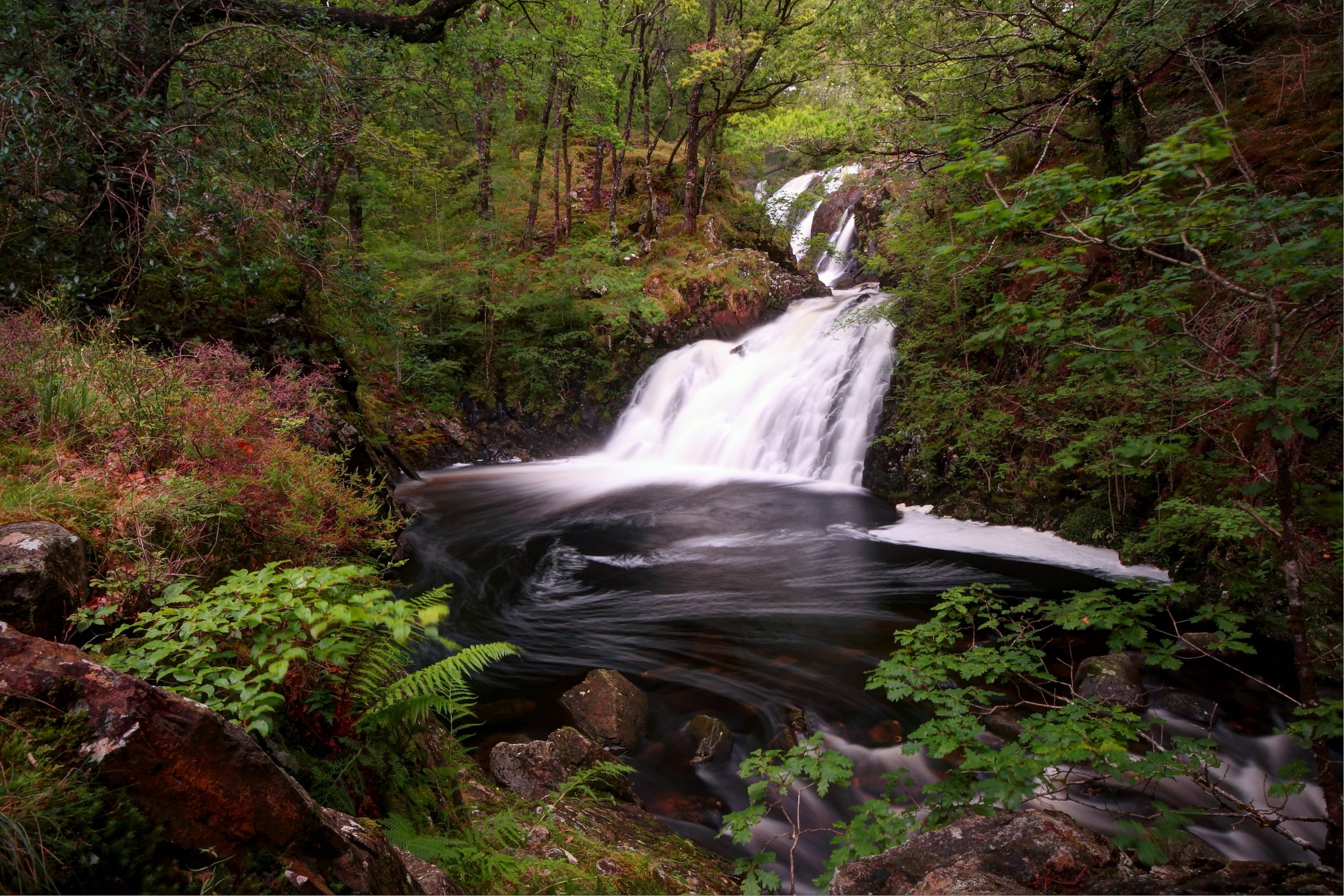 Celtic Rainforests LIFE AfterLIFE Plan Workshop
